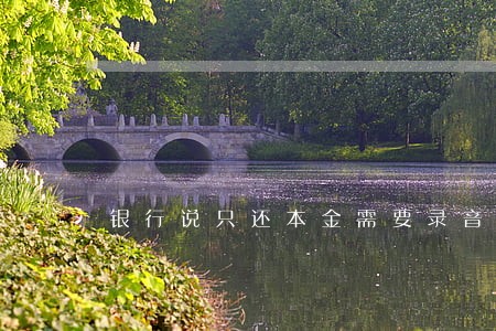 银行说只还本金需要录音吗 银行说只还本金需要录音吗
