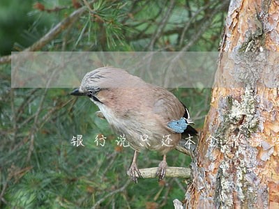 银行说只还本金靠谱吗 银行说只还本金靠谱吗