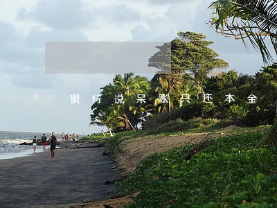 银行说呆账只还本金 银行说呆账只还本金