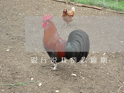 银行说我贷款逾期 银行说我贷款逾期