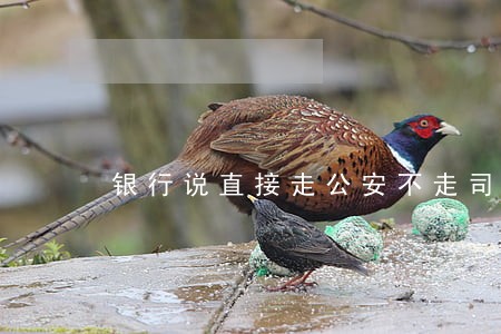 银行说直接走公安不走司法 银行说直接走公安不走司法