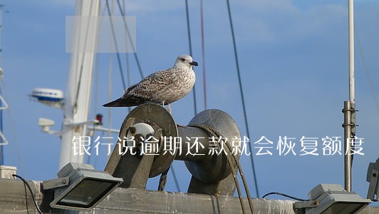 银行说逾期还款就会恢复额度 银行说逾期还款就会恢复额度