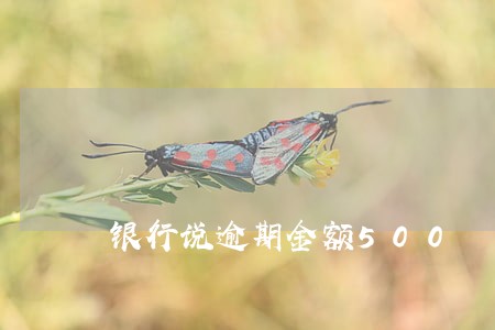 银行说逾期金额500 银行说逾期金额500