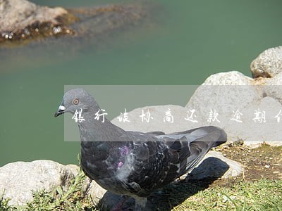 银行谈协商还款逾期信用卡 银行谈协商还款逾期信用卡