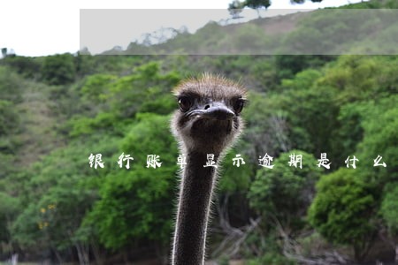 银行账单显示逾期是什么意思 银行账单显示逾期是什么意思
