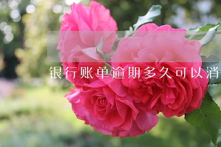 银行账单逾期多久可以消除 银行账单逾期多久可以消除