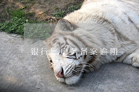 银行账户务备案逾期 银行账户务备案逾期