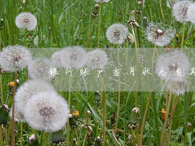 银行账户当月状态逾期 银行账户当月状态逾期