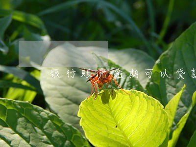 银行账户逾期可以贷款吗 银行账户逾期可以贷款吗