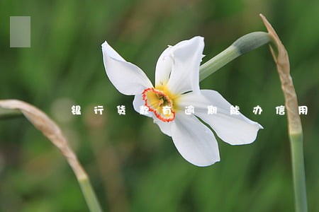 银行货款有逾期能办信用卡吗 银行货款有逾期能办信用卡吗