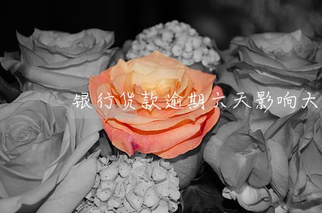 银行货款逾期六天影响大吗 银行货款逾期六天影响大吗