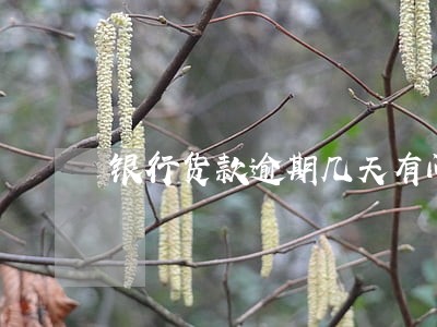 银行货款逾期几天有问题吗 银行货款逾期几天有问题吗