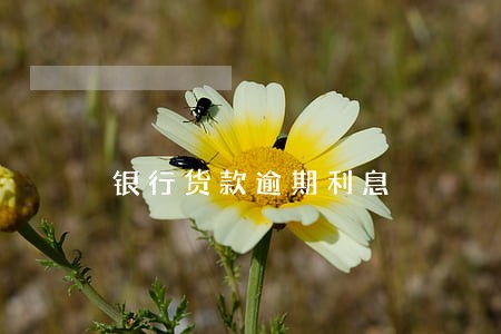 银行货款逾期利息 银行货款逾期利息