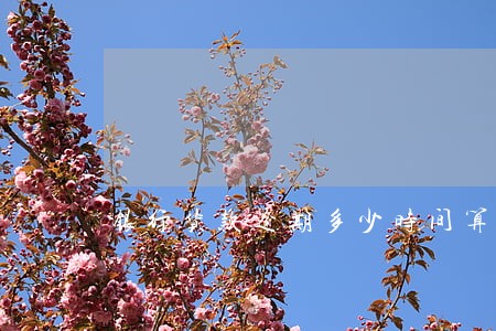 银行货款逾期多少时间算违约 银行货款逾期多少时间算违约