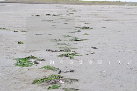 银行购房贷款逾期1天后果 银行购房贷款逾期1天后果