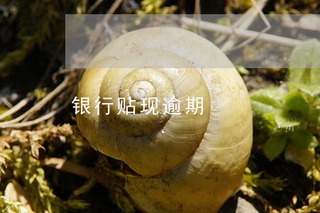 银行贴现逾期 银行贴现逾期