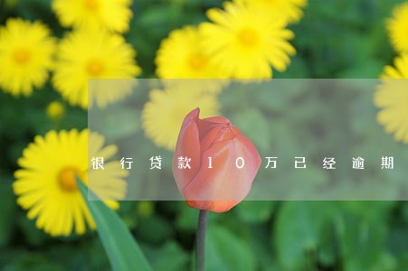 银行贷款10万已经逾期一年了 银行贷款10万已经逾期一年了