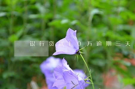 银行贷款10万逾期三天后果 银行贷款10万逾期三天后果