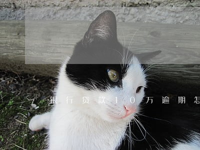 银行贷款10万逾期怎么罚息