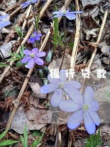 银行贷款13万逾期10个月 银行贷款13万逾期10个月