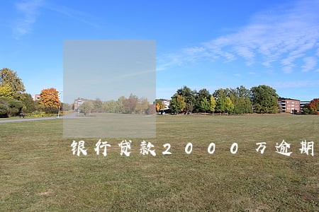 银行贷款2000万逾期后果 银行贷款2000万逾期后果