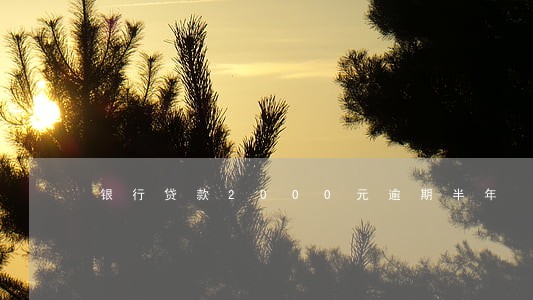 银行贷款2000元逾期半年 银行贷款2000元逾期半年