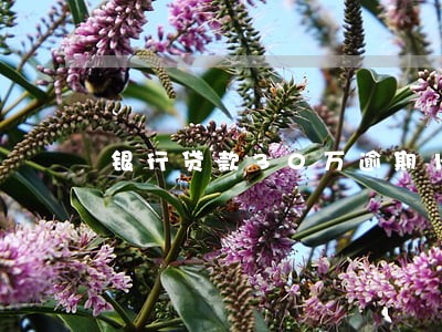 银行贷款30万逾期10天 银行贷款30万逾期10天