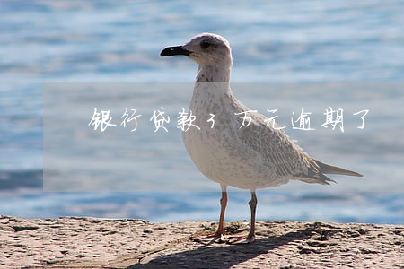 银行贷款3万元逾期了 银行贷款3万元逾期了