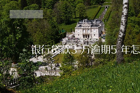 银行贷款3万逾期5年怎么办 银行贷款3万逾期5年怎么办