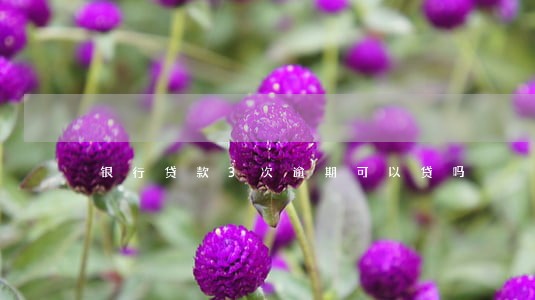 银行贷款3次逾期可以贷吗 银行贷款3次逾期可以贷吗