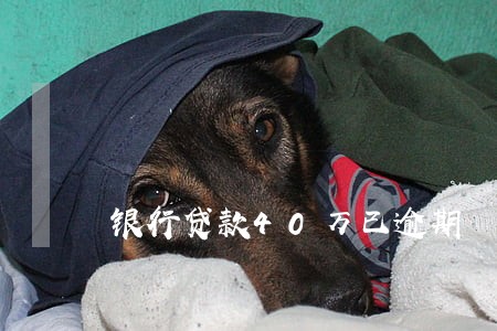 银行贷款40万已逾期 银行贷款40万已逾期