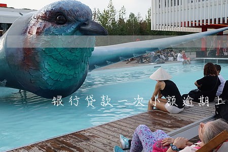 银行贷款一次小额逾期上征信 银行贷款一次小额逾期上征信