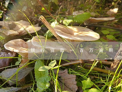 银行贷款一百万逾期 银行贷款一百万逾期