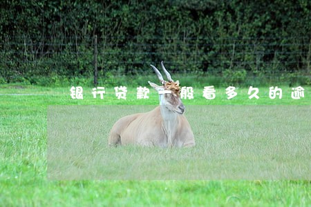 银行贷款一般看多久的逾期 银行贷款一般看多久的逾期