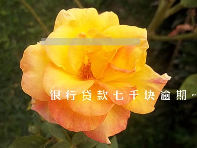 银行贷款七千块逾期一年 银行贷款七千块逾期一年