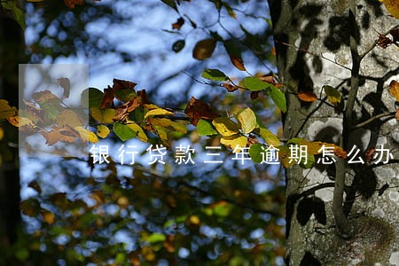 银行贷款三年逾期怎么办 银行贷款三年逾期怎么办