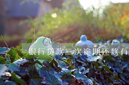 银行贷款三次逾期还款有何影响 银行贷款三次逾期还款有何影响
