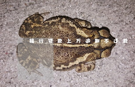 银行贷款上万逾期不还款 银行贷款上万逾期不还款