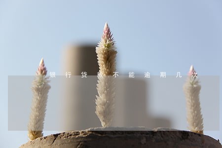 银行贷款不能逾期几次 银行贷款不能逾期几次