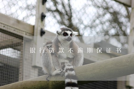 银行贷款不逾期保证书 银行贷款不逾期保证书