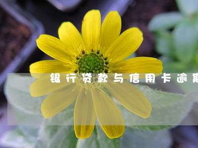 银行贷款与信用卡逾期