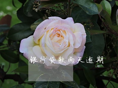 银行贷款两天逾期 银行贷款两天逾期