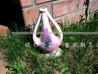 银行贷款严重逾期怎么办 银行贷款严重逾期怎么办