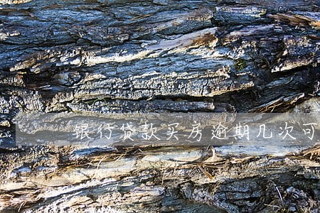 银行贷款买房逾期几次可以 银行贷款买房逾期几次可以