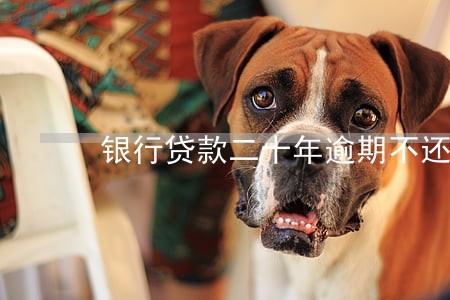 银行贷款二十年逾期不还