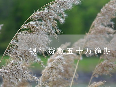银行贷款五十万逾期 银行贷款五十万逾期