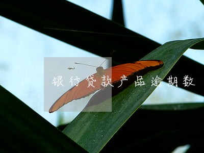银行贷款产品逾期数 银行贷款产品逾期数