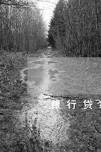 银行贷款人司法数据 银行贷款人司法数据
