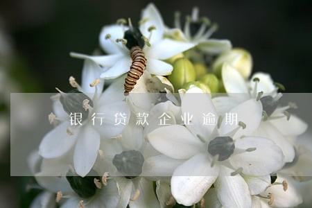 银行贷款企业逾期 银行贷款企业逾期