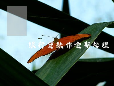 银行贷款作逾期处理